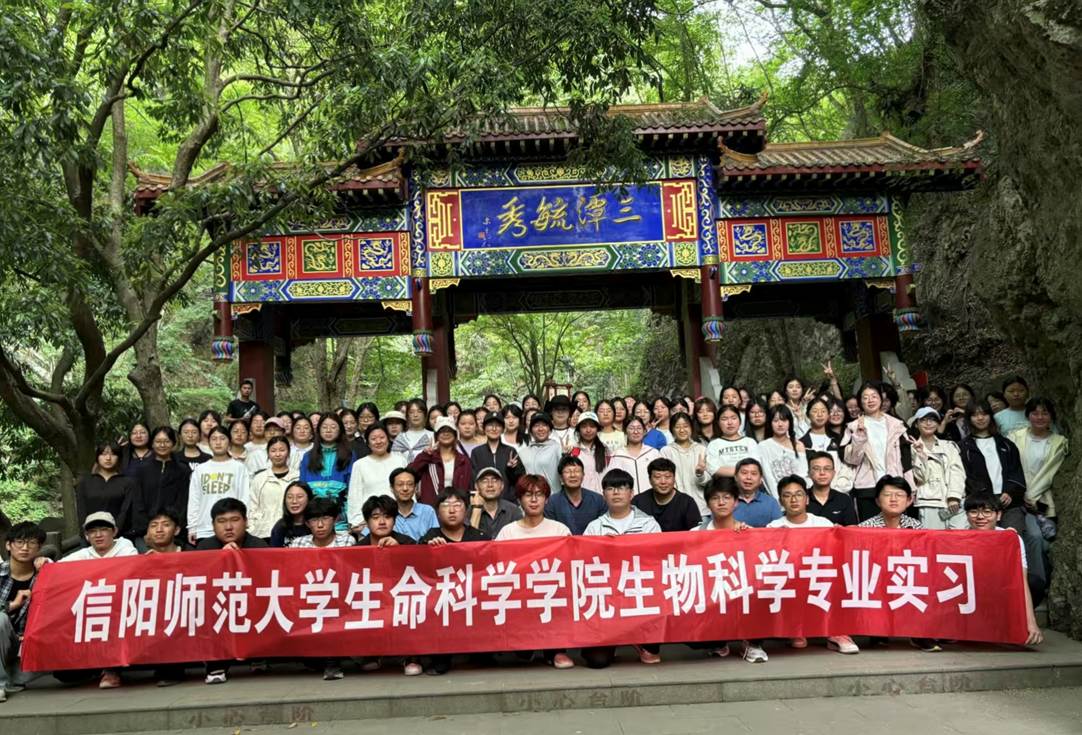 圖示, 示意圖 中度可信度描述已自動生成:ver1 圖示, 示意圖 中度可信度描述已自動生成:ver1